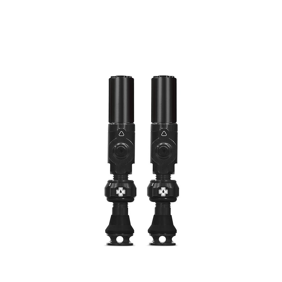 Big Bore Hybrid Valve Tubeless 30mm Noire Paire
