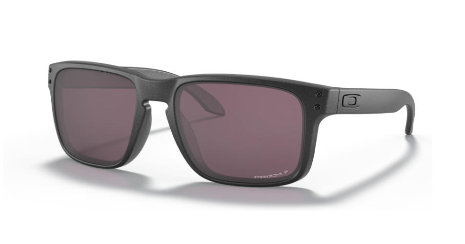 Holbrook Steel w/Prizm Daily Polarized
