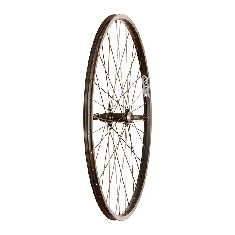 Evo Tour 20, Roue, Arrière, 700C / 622, Trous: 36, QR, 135mm, Sur jante, Roue libre