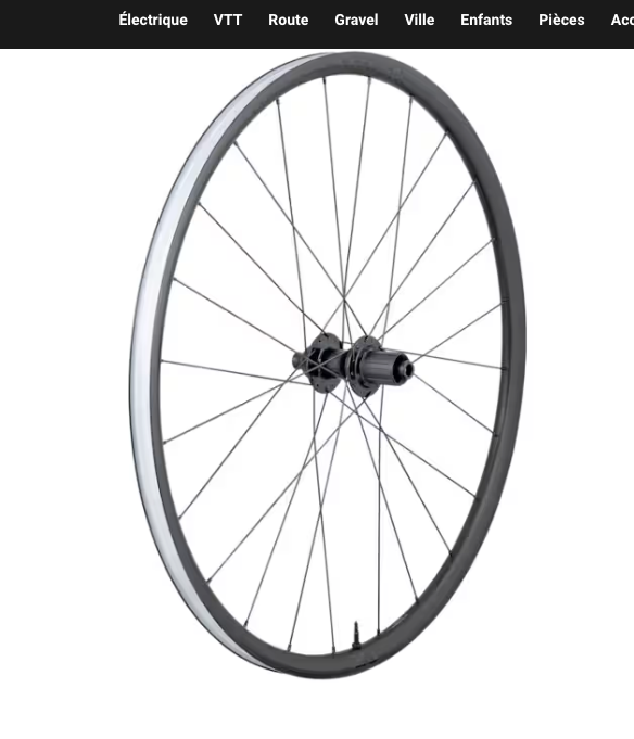 Paradigm 23 TLR Disc Road Wheel  - Rear HG 11