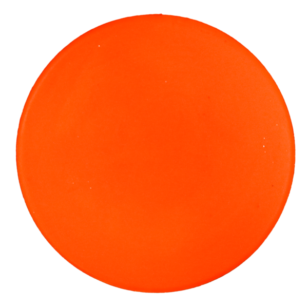 10oz Orange Practice Puck
