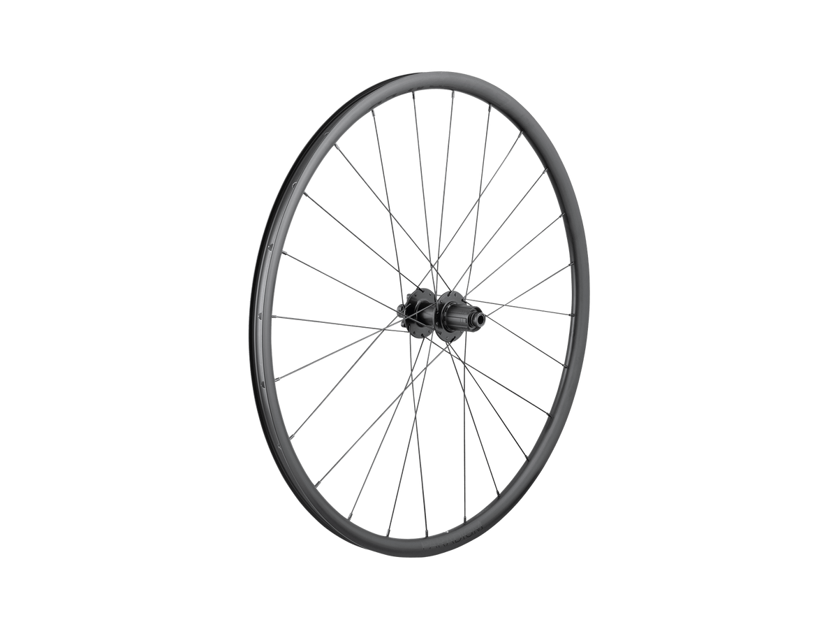 Paradigm SL 6-Bolt Disc 24H 700c Road Wheel ARR HG 11