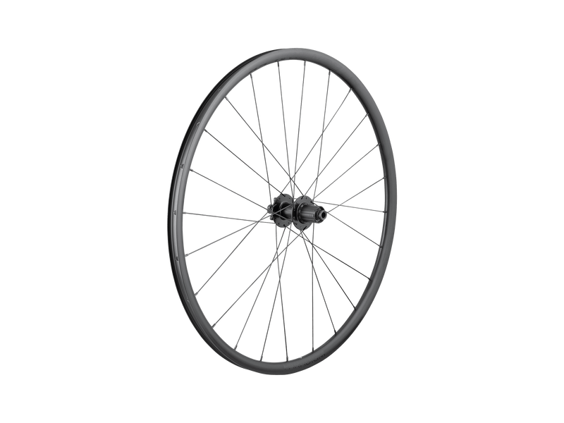 Paradigm SL 6-Bolt Disc 24H 700c Road Wheel ARR HG 11