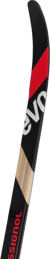 Skis de fond - Evo XC 55 R-Skin+Control Step In