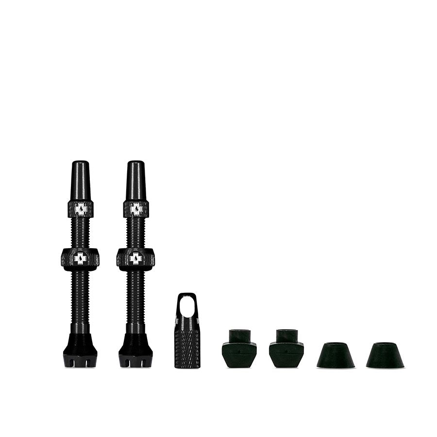 Tubeless Valve V2 Paire Presta