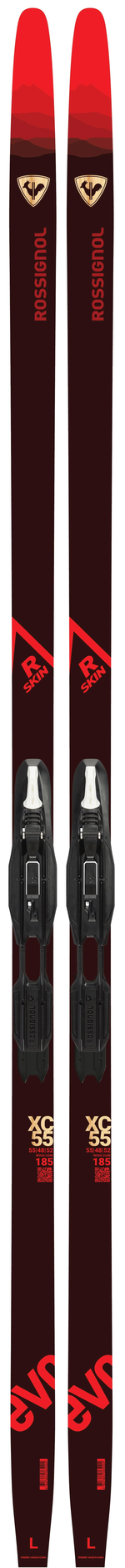 Skis de fond - Evo Xc 55 R Skin + Step-In