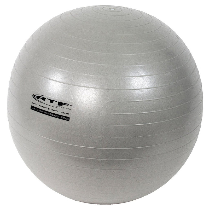 Exercise Ball 75cm Gray